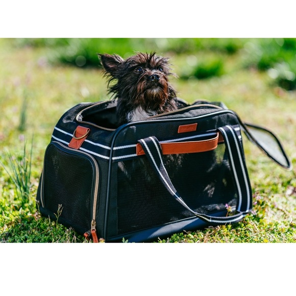 Vibrant Life Pet travel carrier - Picture 3 of 11